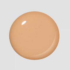 Creamsicle Sorbet